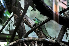 tierpark 01