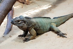 tierpark 14