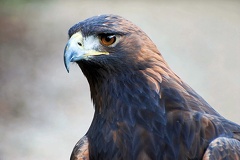 tierpark 21