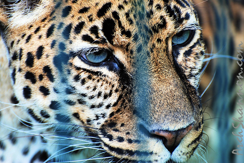tierpark 44