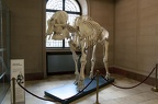 004-museum koenig bonn