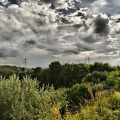 north star park 50