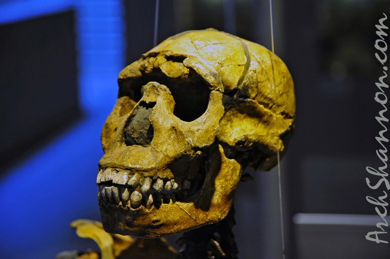 053_Neanderthal_museum_near_Duesseldorf.jpg