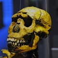 053 Neanderthal museum near Duesseldorf