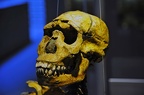053 Neanderthal museum near Duesseldorf