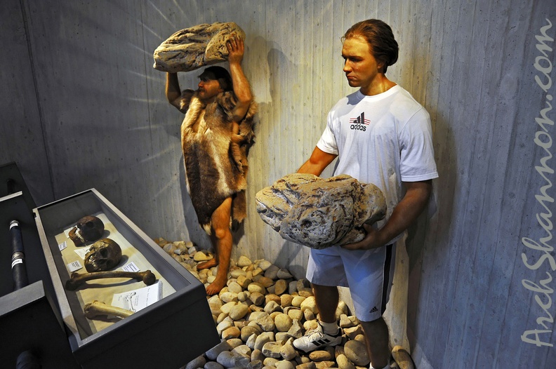 054 Neanderthal museum near Duesseldorf