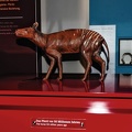 056 muenster lwl museum