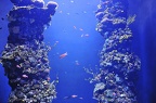 006 - palma aquarium