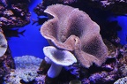 012 - palma aquarium