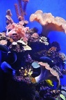 014 - palma aquarium