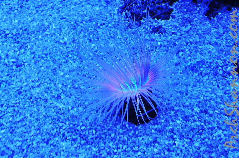 018 - palma aquarium.jpg