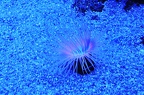 018 - palma aquarium