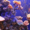 023 - palma aquarium