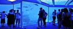 028 - palma aquarium