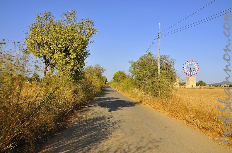 34 - sant blai near campos