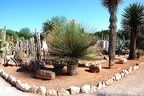 209 - botanicactus near ses salines