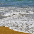 012 - beach Can Pastilla near Palma
