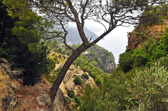 055 - Torre del Verger