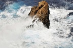 086 - Sa Dragonera - Far de Tramuntana - rock in the sea