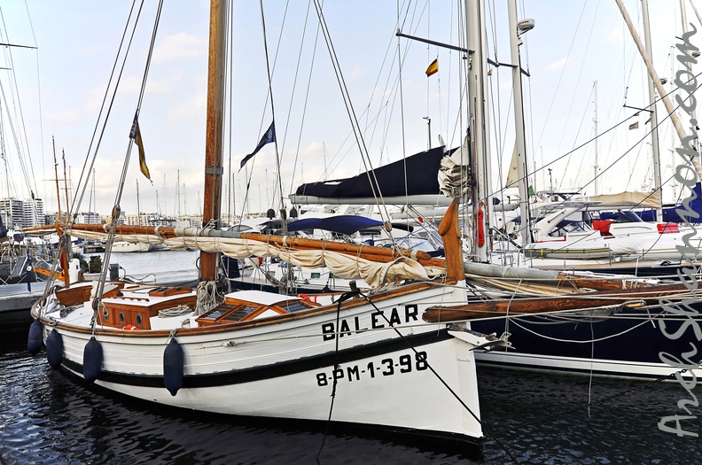 099 - Palma harbour