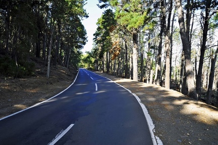 004 - from puerto de la cruz to teleferico del teide