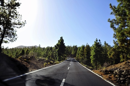 009 - from puerto de la cruz to teleferico del teide