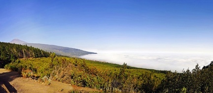 008 - from puerto de la cruz to teleferico del teide