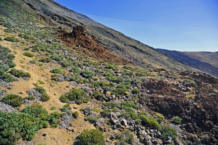 025 - teleferico del teide