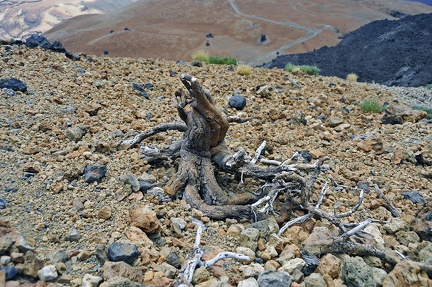 088 - hiking trail 7 - rambleta to montana blanca