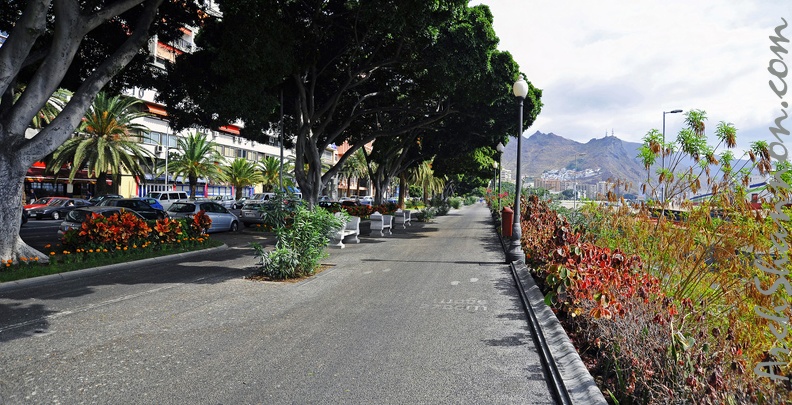 019 - Santa Cruz de Tenerife.jpg