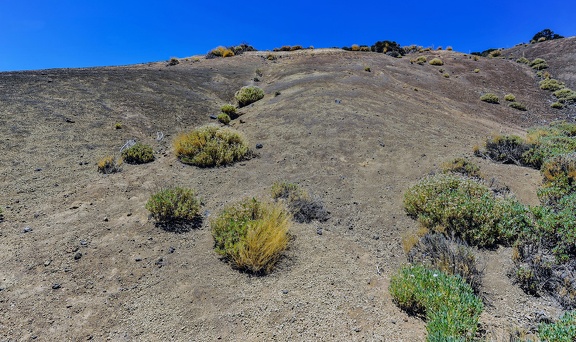 18 - sendero 20