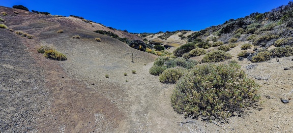 19 - sendero 20