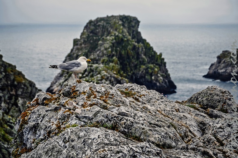 045 - Pointe de Pen Hir